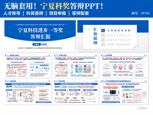 报奖类ppt 2