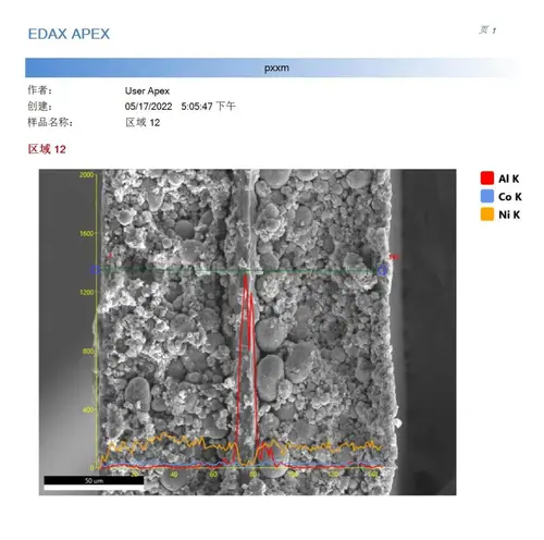 环境扫描电镜（ESEM）测试 案例 5