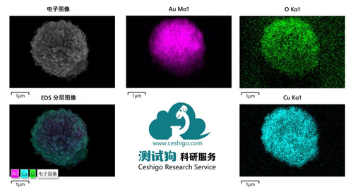 SEM电镜测试_SEM场发射扫描电子显微镜 案例 7