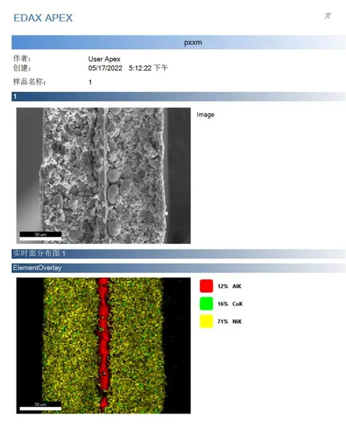 环境扫描电镜（ESEM）测试 案例 6